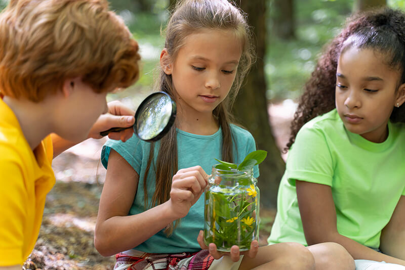 children-exploring-together-nature (1)
