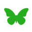 schmetterling
